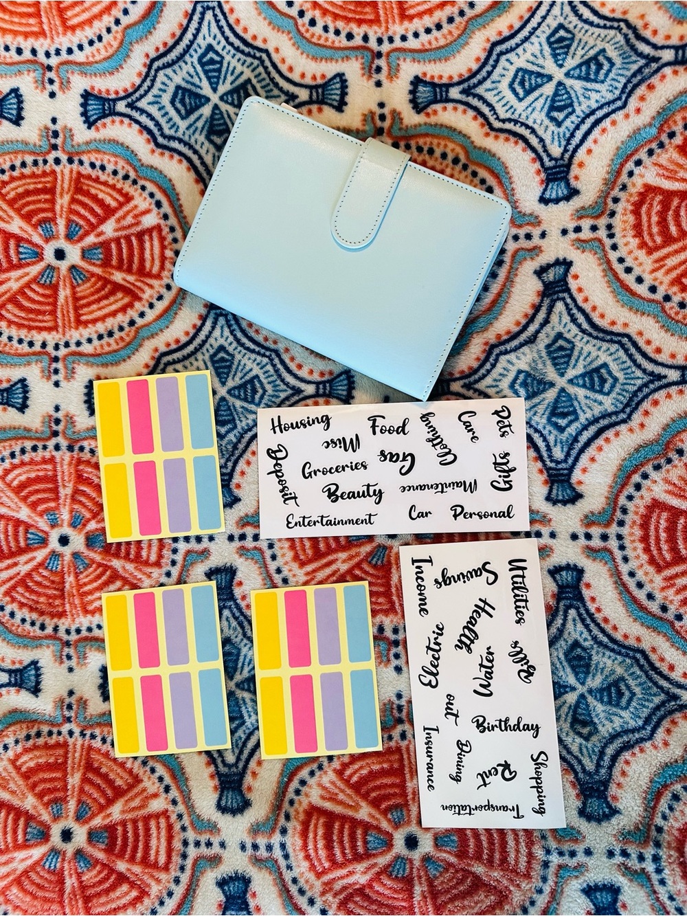 Light turquoise/blue Cash Binder with colorful Sticky Tabs and Script Labels